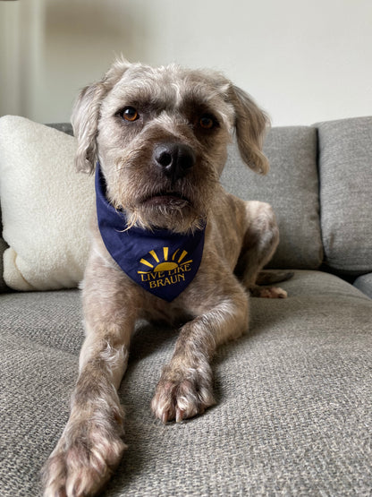 Dog Bandana