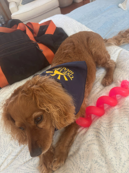 Dog Bandana