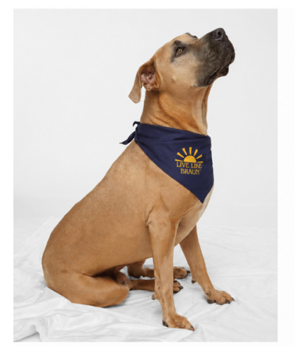 Dog Bandana